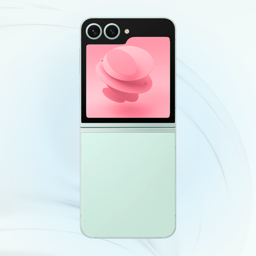 Samsung Galaxy Z Flip6 Dual
