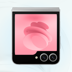 Samsung Galaxy Z Flip6 Dual