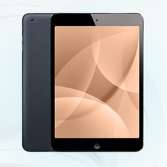 iPad Mini
