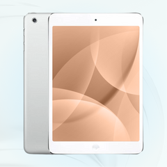 iPad Mini