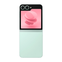 Samsung Galaxy Z Flip6 Dual