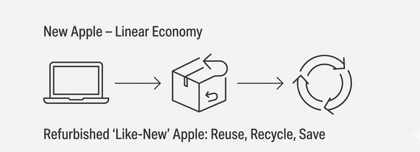 Linear Economy diagram