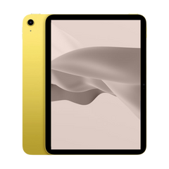 iPad 10.9 inch (10th Gen)