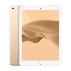 iPad (5th Gen)