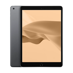 iPad (5th Gen)
