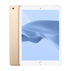 iPad (6th Gen)