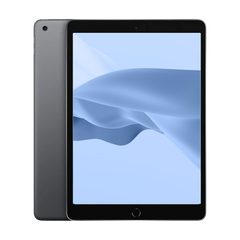 iPad (6th Gen)