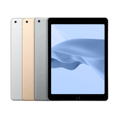 iPad (6th Gen)