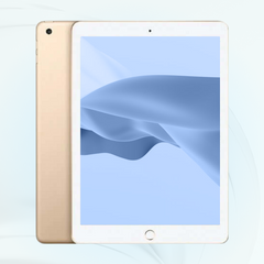 iPad (6th Gen)