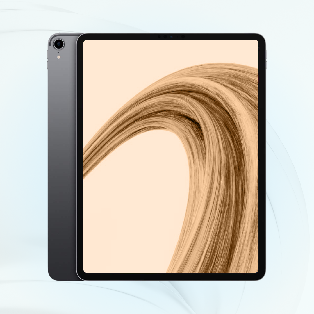 iPad Pro 12.9-inch (3rd Gen)