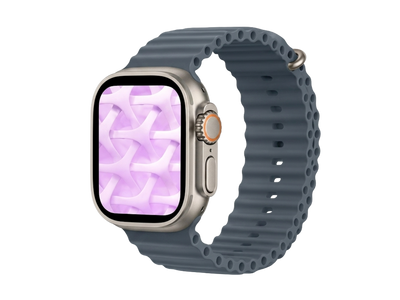 Apple Watch Ultra 2 Silver Titanium